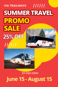 Summer promotional sale offer poster.